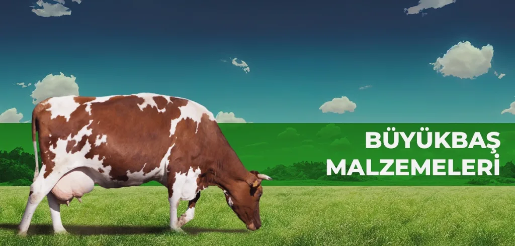 buyukbas malzemeleri