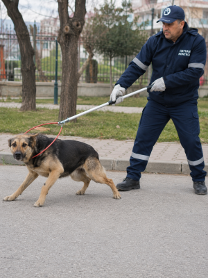 kopek yakalama aleti
