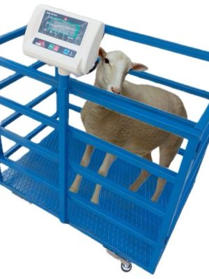 kücükbas hayvan kantari