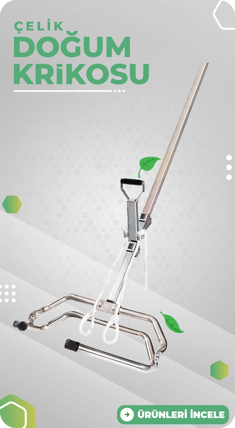 dogum krikosu banner